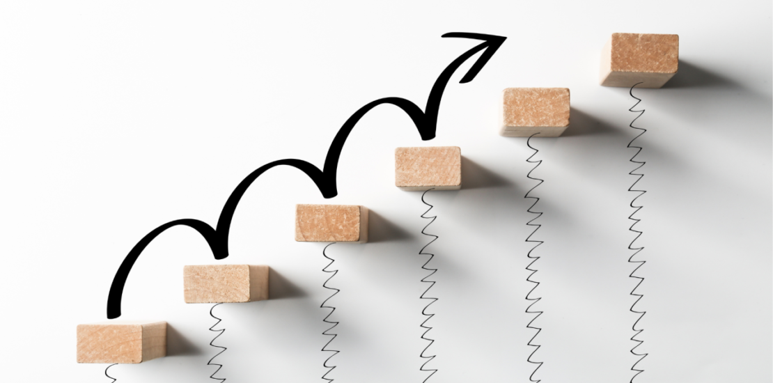 النضوج المؤسسي الموارد البشرية